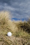 Golffitness